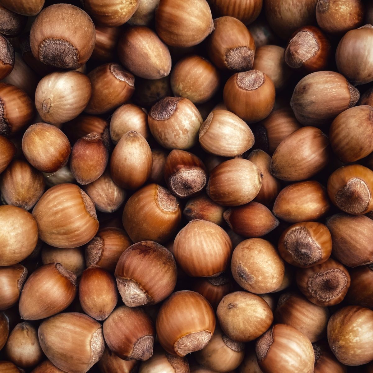 Granella di nocciole