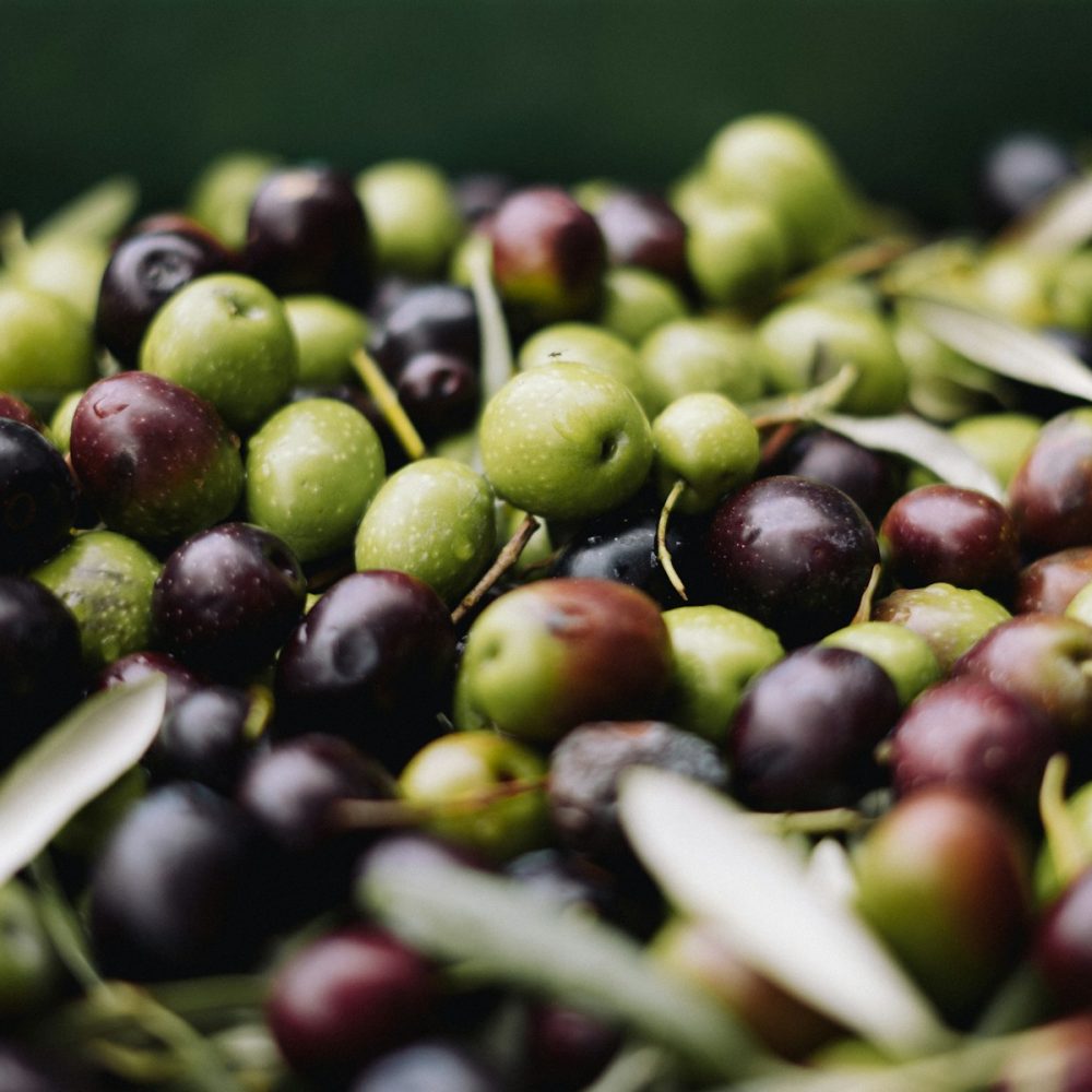 Olio extra vergine di oliva